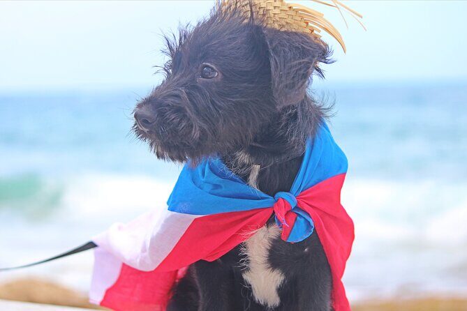 Private Old San Juan Photography - Pricing and Value