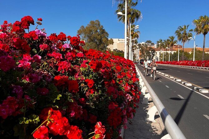 Private Old Town Golden Age Valencia Tour - Who Will Love This Tour?