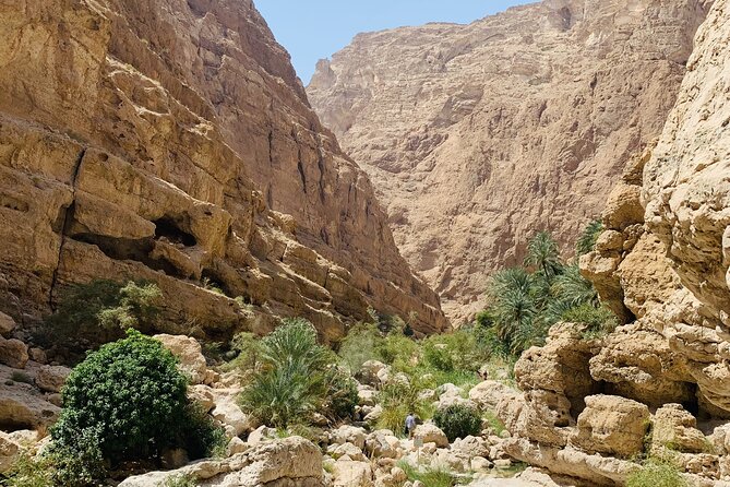 Private Oman Desert Overnight in Wahiba Sand and Wadi Exploration - Frequently Asked Questions