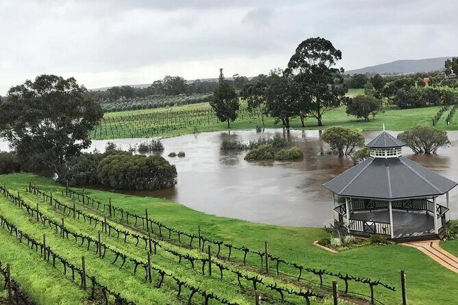 Private One Day Perth Tour - Starting at Kings Park and the Botanic Garden: A Skyline Welcome