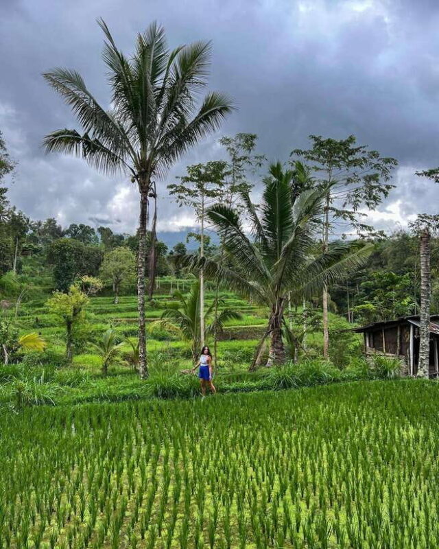 Private One-Day Tour: Authentic Tete Batu & Sukarara Village - Exploring the Authentic Side of Lombok: A Review of the One-Day Tete Batu & Sukarara Village Tour