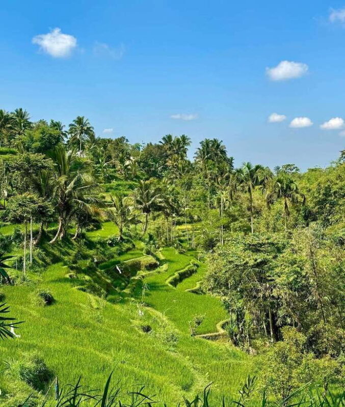 Private One-Day Tour: Authentic Tete Batu & Sukarara Village - FAQs