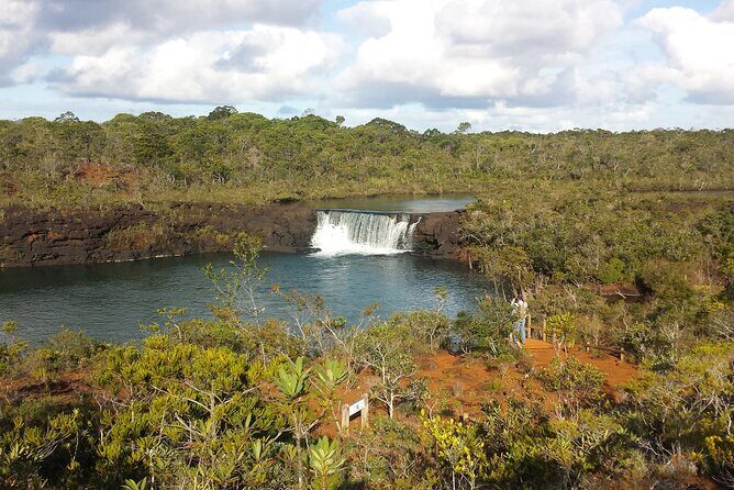 Private One Day Tour through The Deep South - What Travelers Are Saying