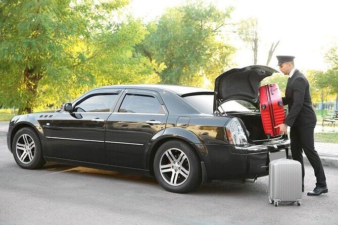 Private One Way Transfer From Sao Paulo Airport to Sao Paulo - Drop-off Location