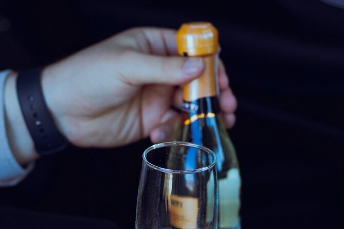 Private One Way Transfer in Sofia - The Sum Up