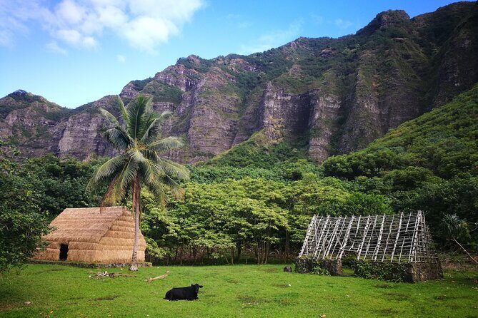 Private One way Transfer Waikiki Hotel and Kualoa Ranch - Discover the Convenience of a Private Transfer from Waikiki to Kualoa Ranch