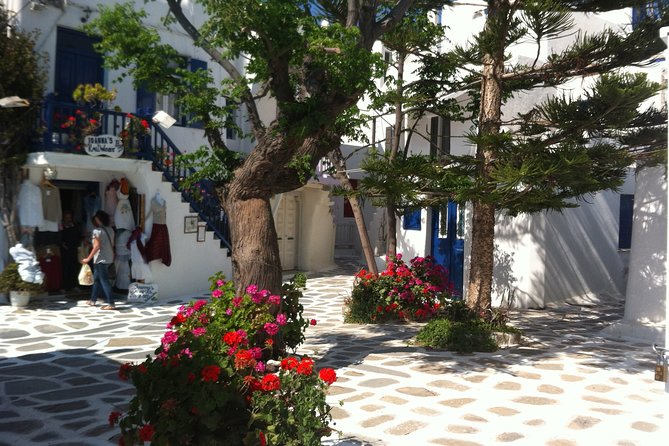 Private Only the Highlights Walking Tour - Inclusions