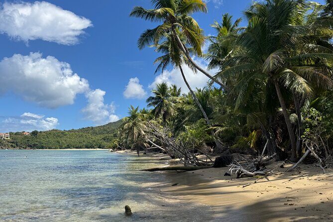Private Open-Air Jeep Adventure with Tropic Sun Hidden Beaches - Why Choose This Jeep Adventure?