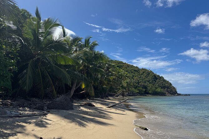 Private Open-Air Jeep Adventure with Tropic Sun Hidden Beaches - The Value and Who It’s Best For