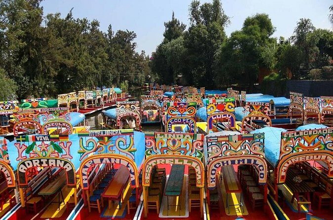 Private or Shared Tour Xochimilco Coyoacán and Frida Kahlo Museum - What’s Included and What’s Not