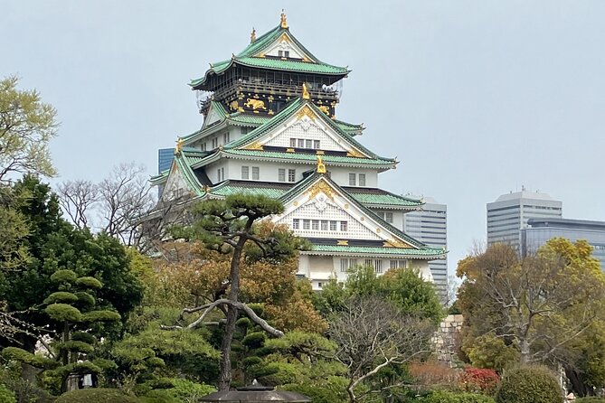 Private Osaka Tour With Hotel Pick up - Health and Safety