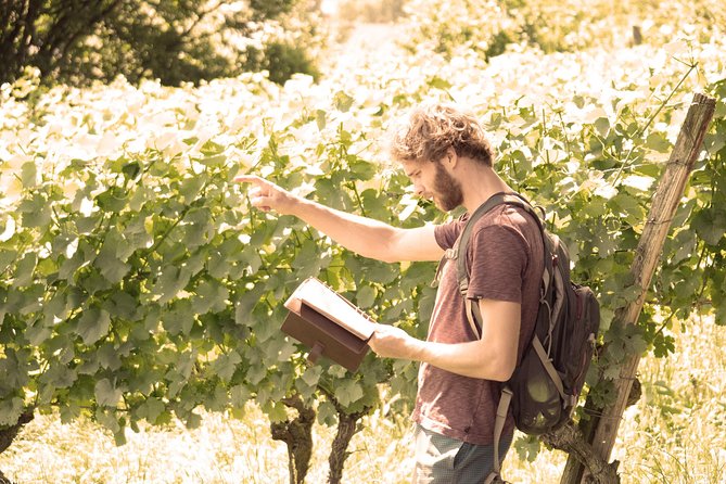 Private: Outdoor Escape Game Tuniberg: Eduardo & the Wine Secret - Adventure for Group Participants