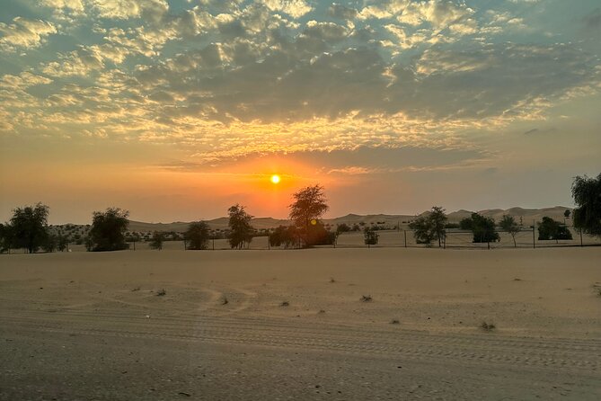 Private Overnight Camping in Liwa With BBQ Dinner & Breakfast - Pricing and Payment Options