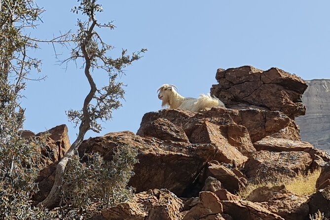 Private Overnight Jebel Shams Camping Tour - Booking Information