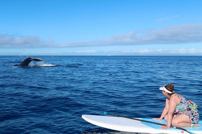 Private Paddleboard (SUP) Whale Watch - All Skill Levels Welcome - Sum Up
