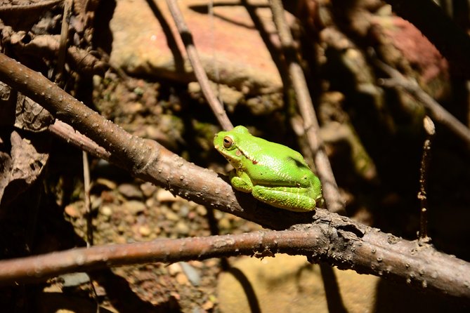 Private Palca Canyon Tour From La Paz With Optional Stop at Valle De Las Animas - Tour Details