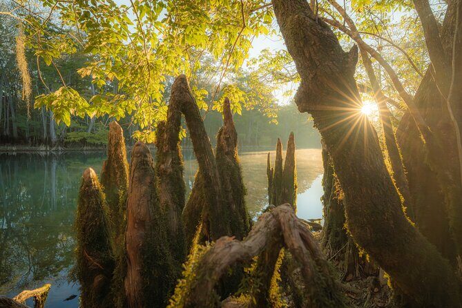 Private Panama City Beach Photo Excursion - Key Points