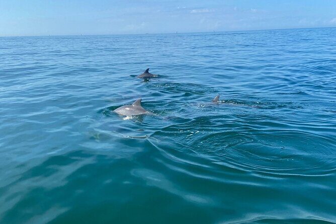 Private Panama City Beach Sunset Tour - The Experience: What to Expect on This Sunset Tour