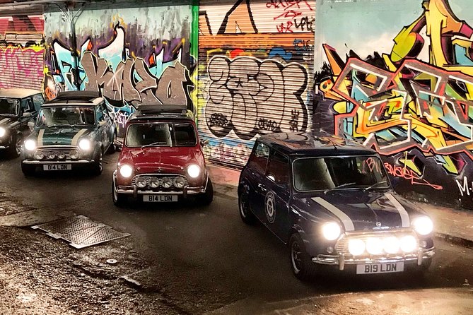 Private Panoramic Tour of London in a Classic Car - Accessibility Details