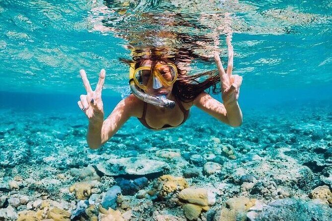 Private Party Boat with Snorkeling in Playa Bibijagua - Why This Tour Stands Out