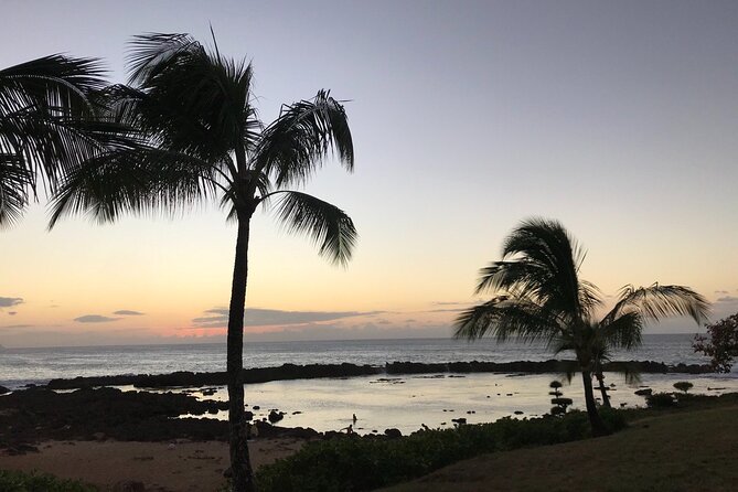 Private Pearl Harbor & North Shore Tour (Se Habla Español) - Pickup and Accessibility