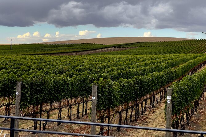 Private Personal Winery Tours in Walla Walla - Things To Known