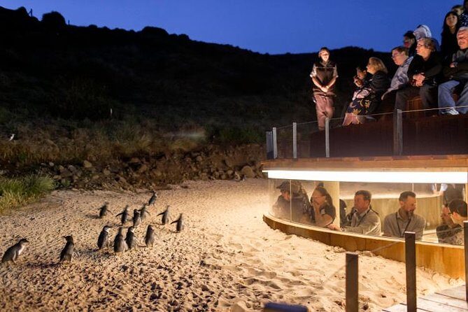 Private Phillip Island Day Trip from Melbourne Including Penguin Parade Premium Viewing - A Day Full of Diversity and Charm