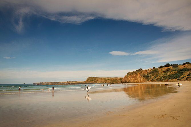 Private Phillip Island Penguin Parade Tour - The Sum Up: Who Will Love This Tour?