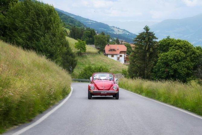 Private Photo Session With a Local Photographer in Trento - Overview of the Private Photo Session Experience