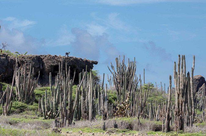 Private Photography Tour - Who Would Love This Tour?