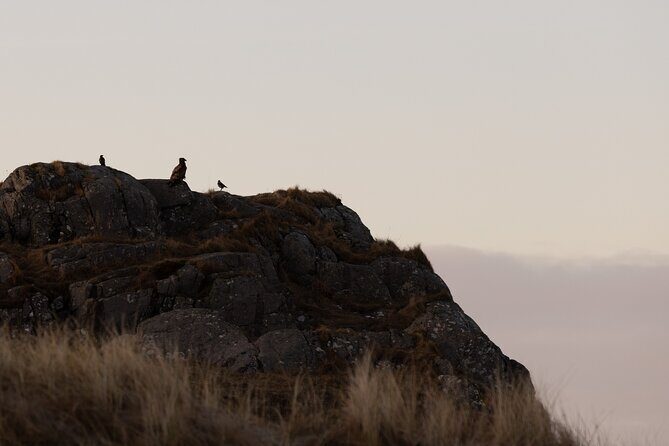 Private Photography Tour in Haugesund - The Itinerary: What to Expect