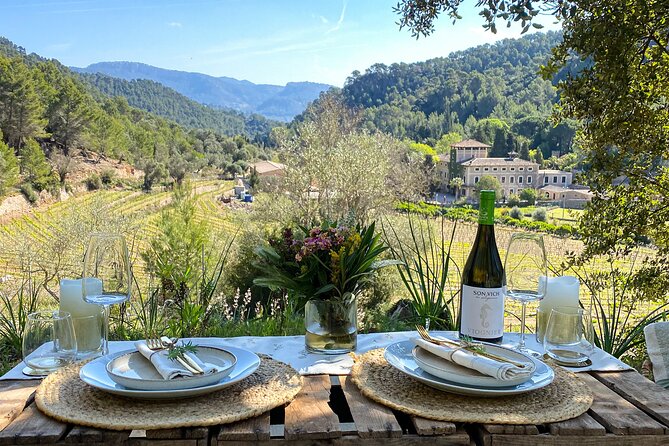 Private Picnic Experience With Winery Tour & Tasting in Mallorca - Picnic Menu Highlights