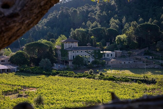 Private Picnic Experience With Winery Tour & Tasting in Mallorca - Availability and Confirmation