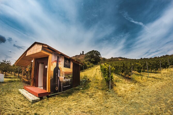 Private PICNIC in Bohemian Vineyards and Wine Tasting 4WD Tour - Wine Tasting and Picnic in Vineyards