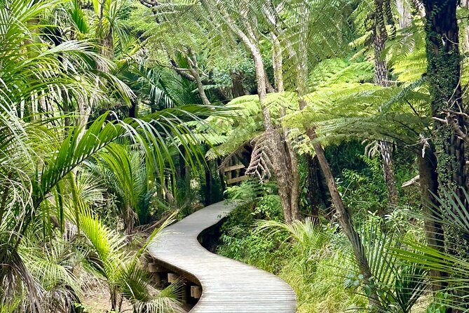 Private Piha Beach, Rainforest Adventure & Mt. Eden with Guide - Practical Details: What You Need to Know