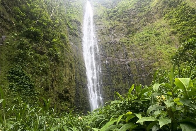 Private Pipiwai Trail Maui Open-Air Jeep Tour - Meeting and Pickup Information