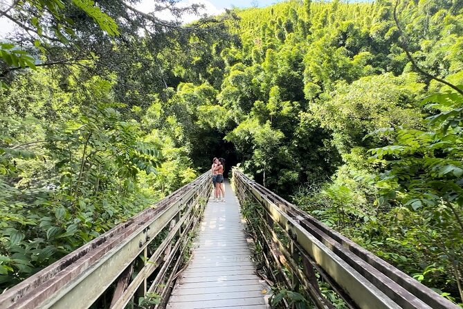 Private Pipiwai Trail Maui Open-Air Jeep Tour - Accessibility and Requirements