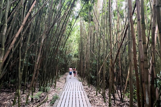 Private Pipiwai Trail Maui Open-Air Jeep Tour - Booking and Cancellation Policy