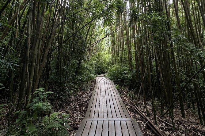 Private Pipiwai Trail Maui Open-Air Jeep Tour - Why Choose the Private Pipiwai Trail Tour