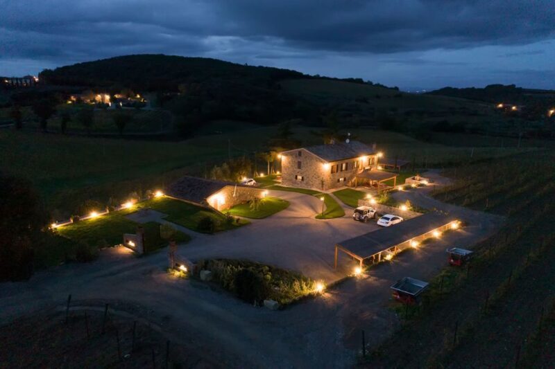 Private Plus Wine Tasting Tour - An In-Depth Look at the Experience