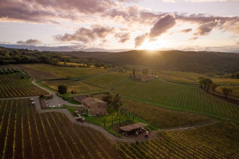 Private Plus Wine Tasting Tour - The Sum Up