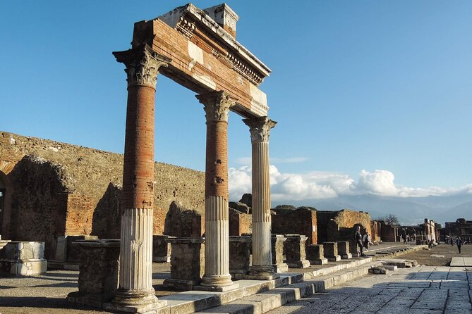 Private Pompeii Day Trip From Rome by Fast Train to Naples and Car Service - Customer Reviews