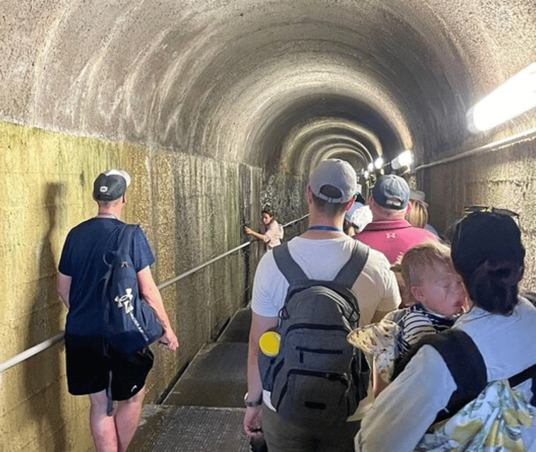 Private Pompeii & Herculaneum Tour with Guide & Driver - The Bottom Line