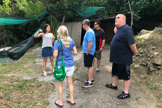 Private Pompeii Tour With Lunch and Olive Oil Factory Experience - Customer Reviews and Testimonials