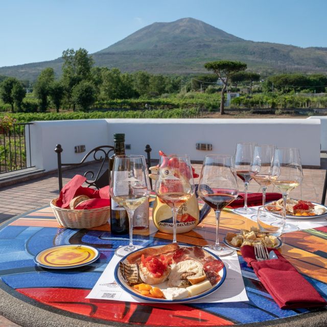 Private Pompeii & Vesuvius Wine Tasting Tour - Key Points