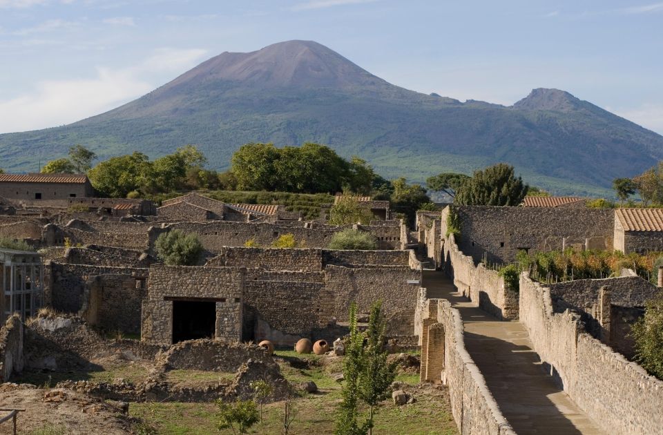 Private Pompeii & Vesuvius Wine Tasting Tour - Inclusions