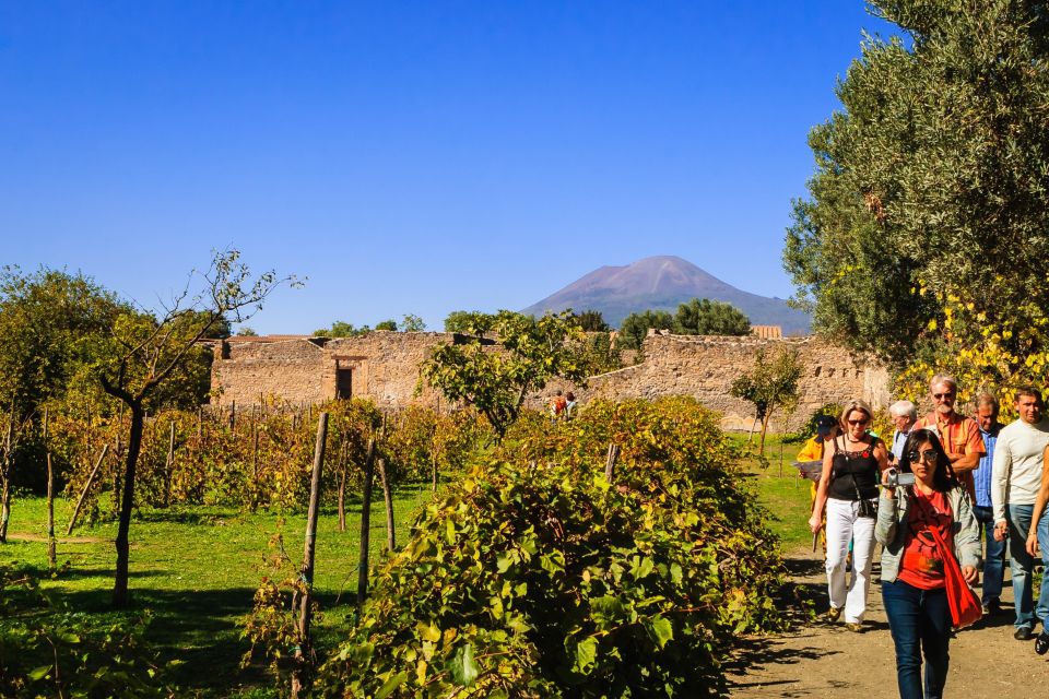 Private Pompeii & Vesuvius Wine Tasting Tour - Tour Highlights