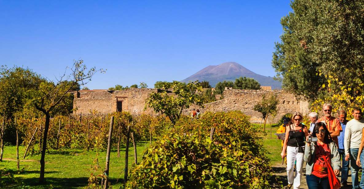 Private Pompeii & Vesuvius Wine Tasting Tour - Booking and Cancellation
