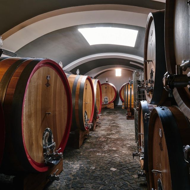 Private Pompeii & Vesuvius Wine Tasting Tour - Ascend the Slopes of Mount Vesuvius