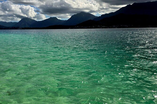 Private Pontoon Boat Rental in Kaneohe Bay - What Travelers Say